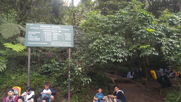 kawasan konservasi taman nasional gunung gede pangrango