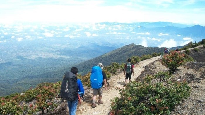 simaksi gunung gede