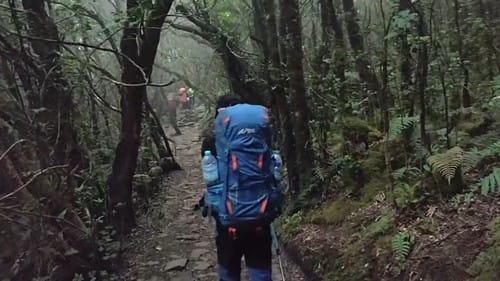 gunung gede untuk pendaki pemula