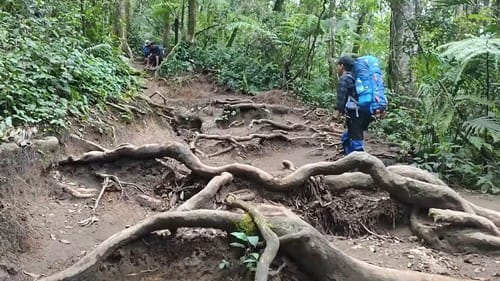 medan menuju pos 2 gunung gede via putri
