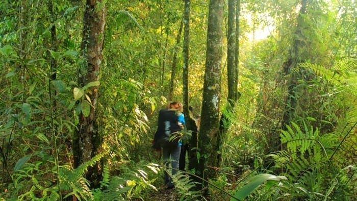 jalur pendakian gunung gede via selabintana