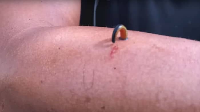 pacet di jalur pendakian gunung gede cia selabintana