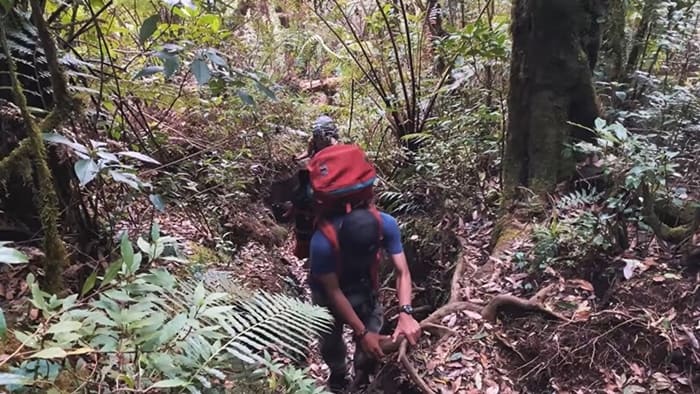medan rimbut gunung gede via selabintana