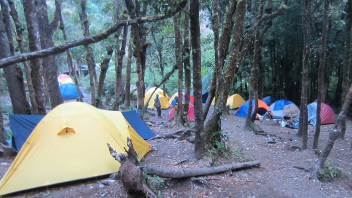 kandang badak gunung gede via cibodas