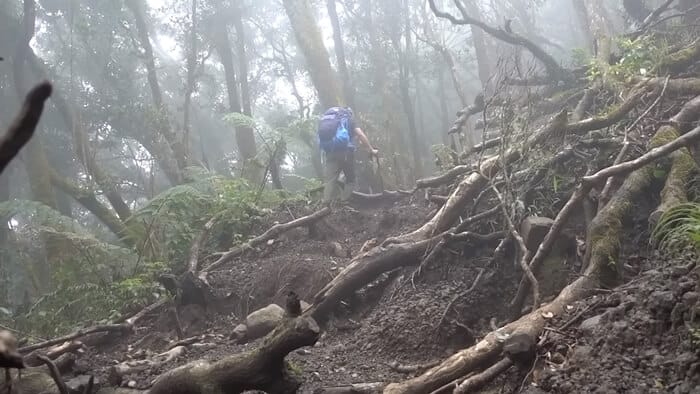 trek gunung gede simpang meleber