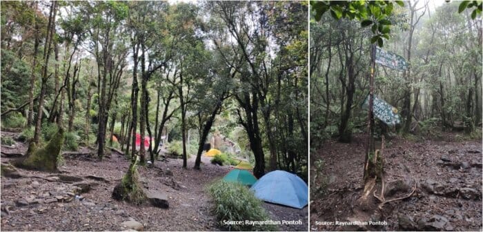 jalur pendakian gunung pangrango