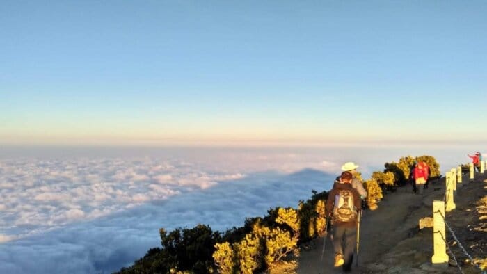 jasa guide gunung gede pangrango
