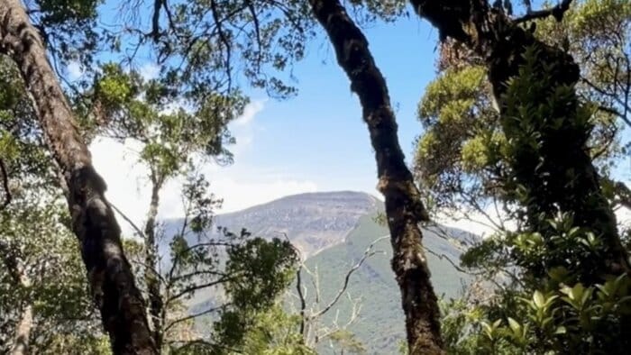 puncak gunung pangrango